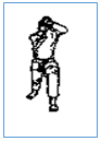 Text Box:  